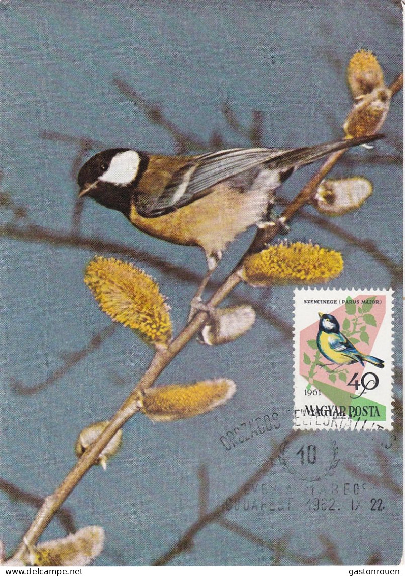 Carte Maximum Hongrie Hungary Oiseau Bird 1479 Mésange Tit - Cartoline Maximum