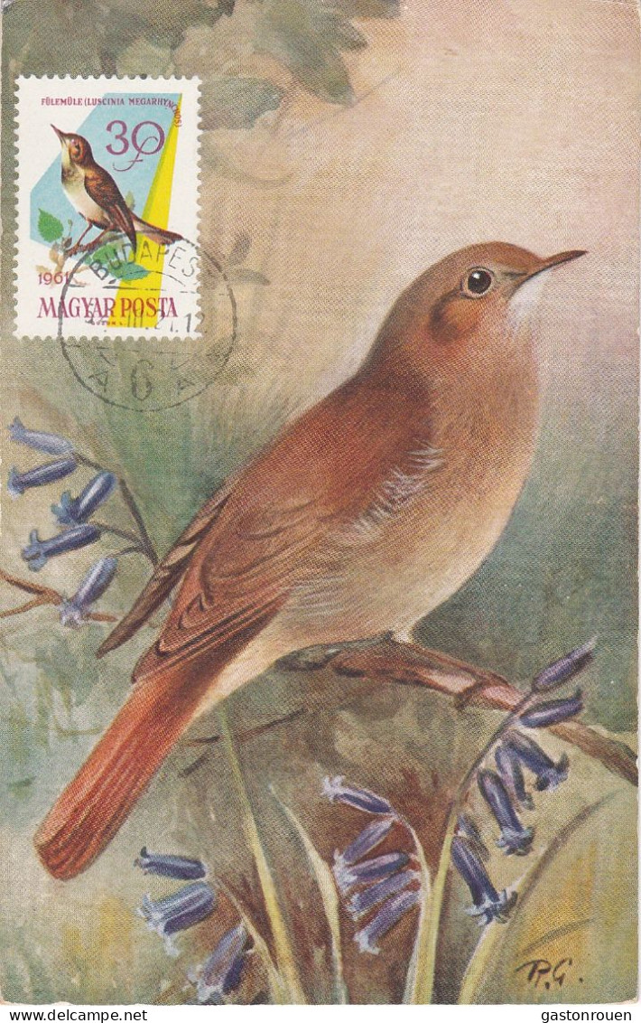 Carte Maximum Hongrie Hungary Oiseau Bird 1478 Rossignol Nightingale - Maximum Cards & Covers