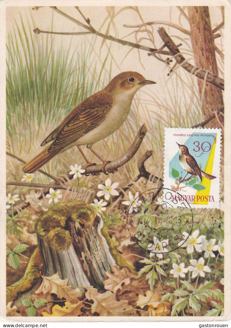 Carte Maximum Hongrie Hungary Oiseau Bird 1478 Rossignol Nightingale - Maximumkarten (MC)