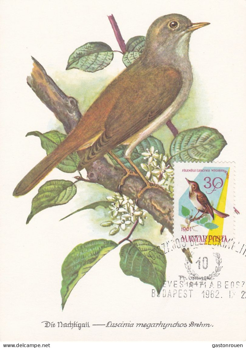 Carte Maximum Hongrie Hungary Oiseau Bird 1478 Rossignol Nightingale - Tarjetas – Máximo