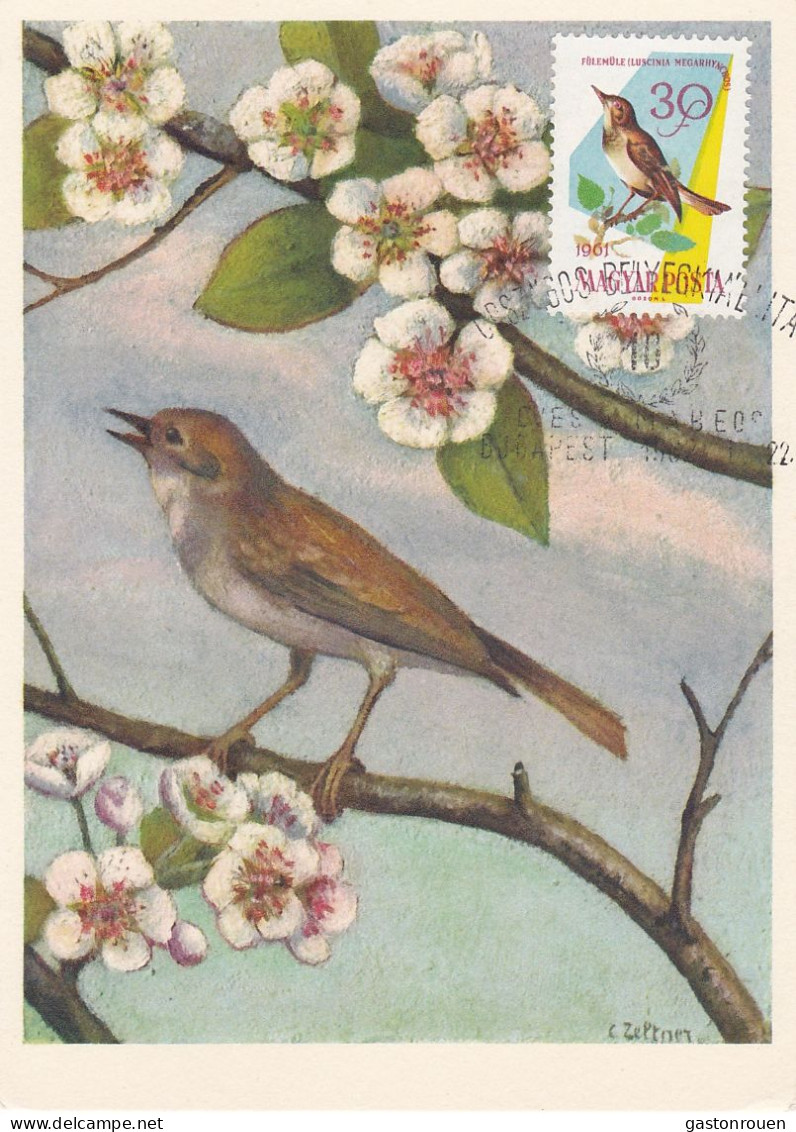 Carte Maximum Hongrie Hungary Oiseau Bird 1478 Rossignol Nightingale - Maximum Cards & Covers