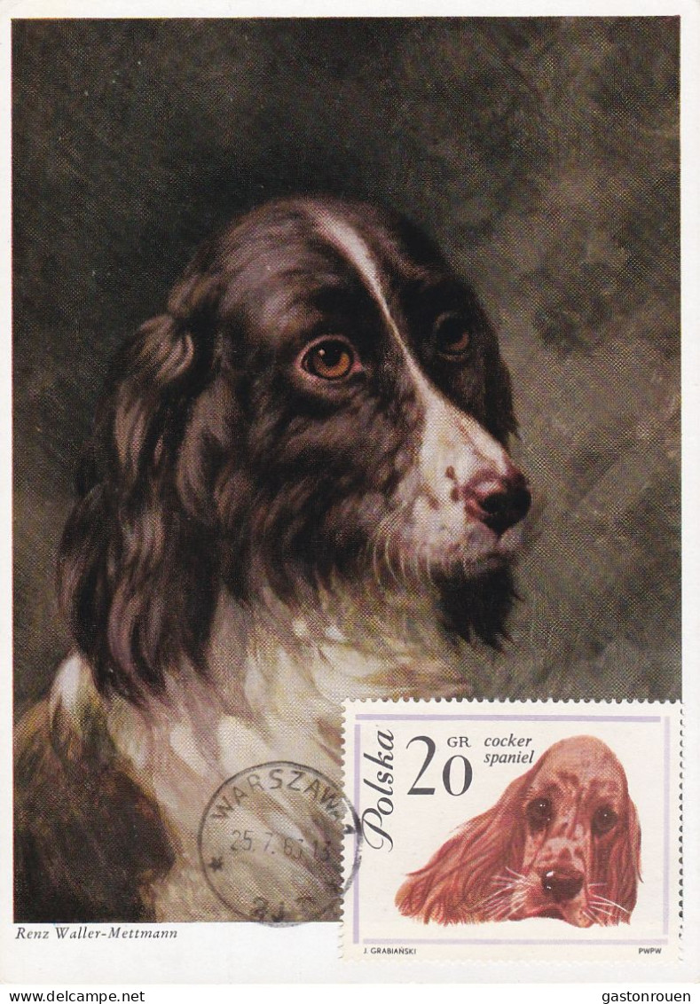 Carte Maximum Pologne Poland Chien Dog 1232 Cocker - Cartes Maximum