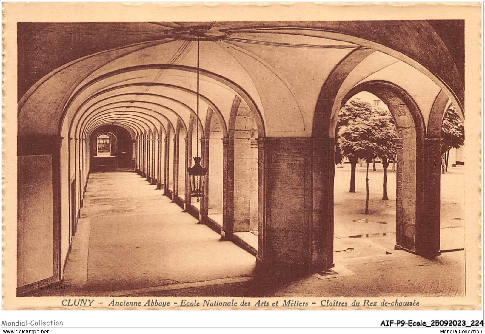 AIFP9-ECOLE-1025 - CLUNY - Ancienne Abbaye - école Nationale Des Arts Et Métiers - Cloîtres Du Rez De-chaussée  - Schulen
