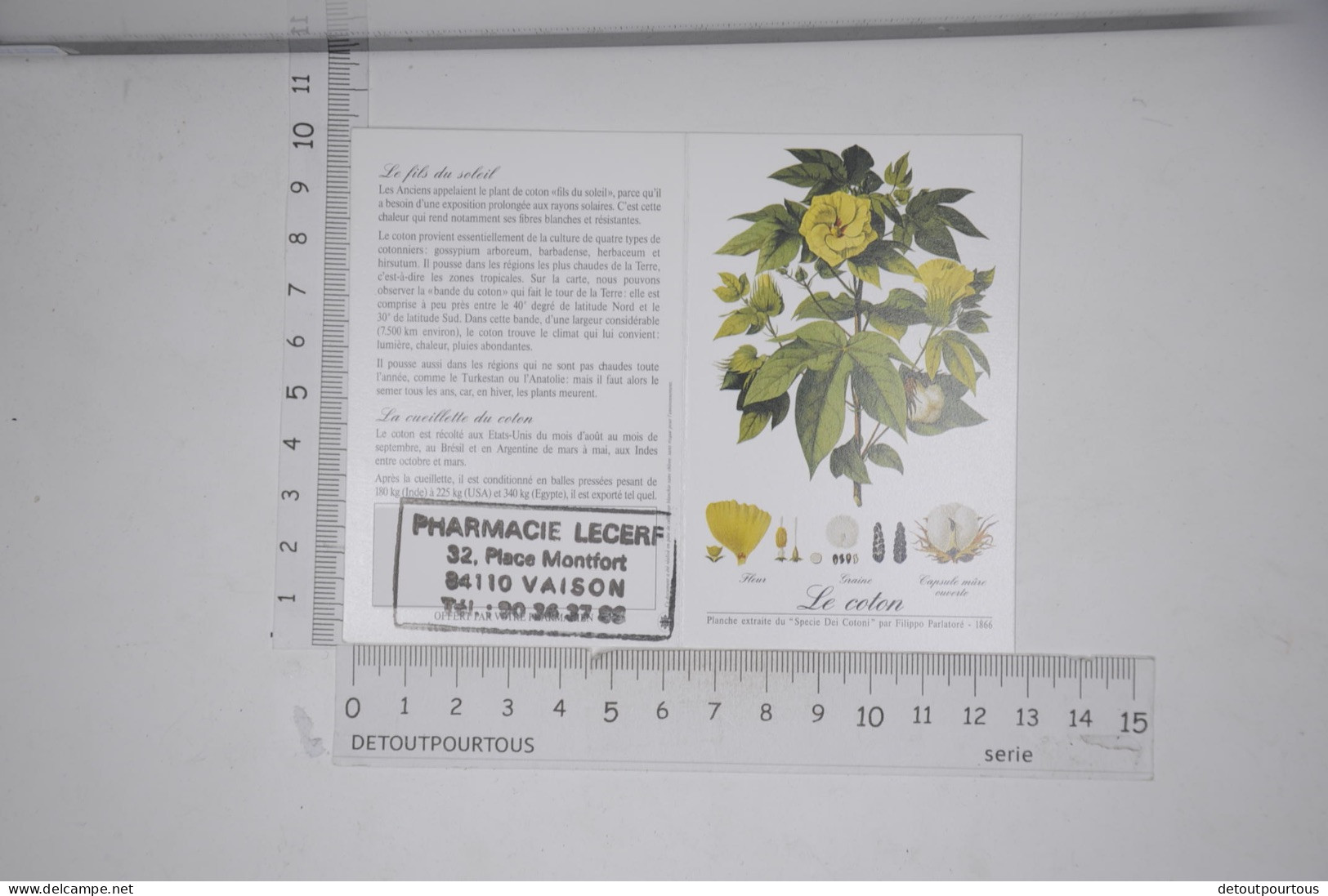 Mini Calendrier 1998 Laboratoires Paul Hartmann Pharmacie LECERF 84110 Vaison L / Illustration Le Coton Plante - Small : 1981-90