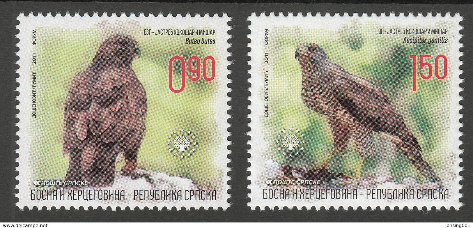 Bosnia Serbia 2011 European Nature Protection Fauna Birds Goshawk Buzzard, Set MNH - Águilas & Aves De Presa