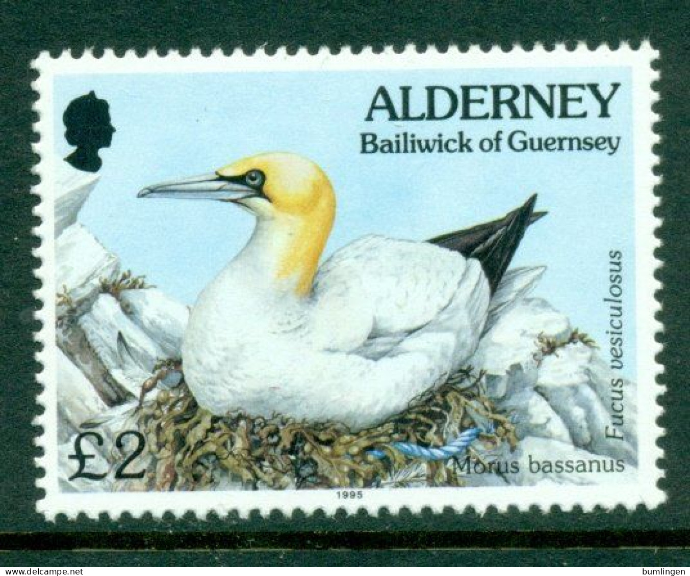 ALDERNEY 1995 Mi 82** Bird [B431] - Albatros & Stormvogels