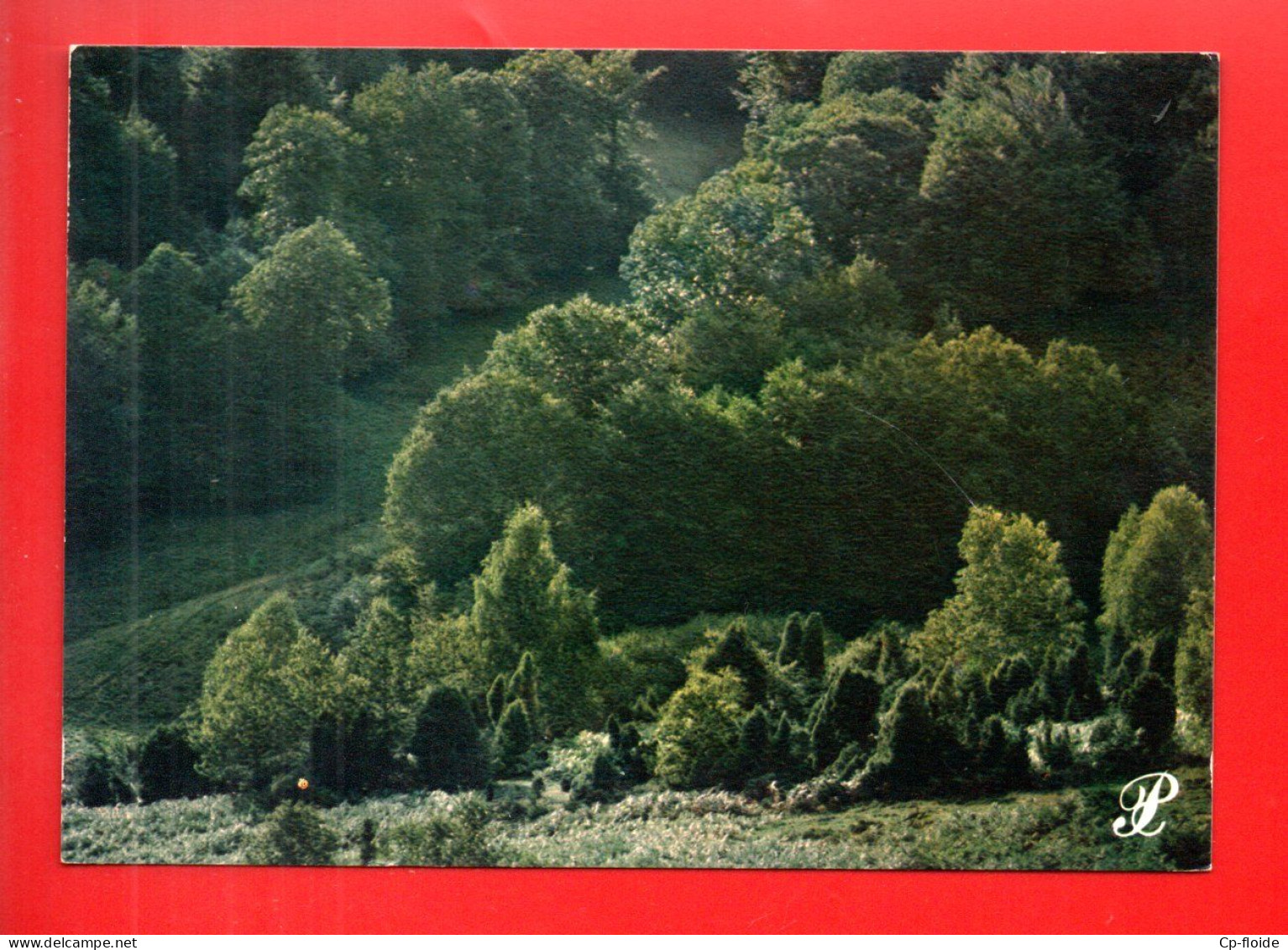 RÉGION . LIMOUSIN . " PAYSAGE . FORÊT " . COLLECTION PRESTIGE N° 87-P58 - Réf. N°38643 - - Limousin