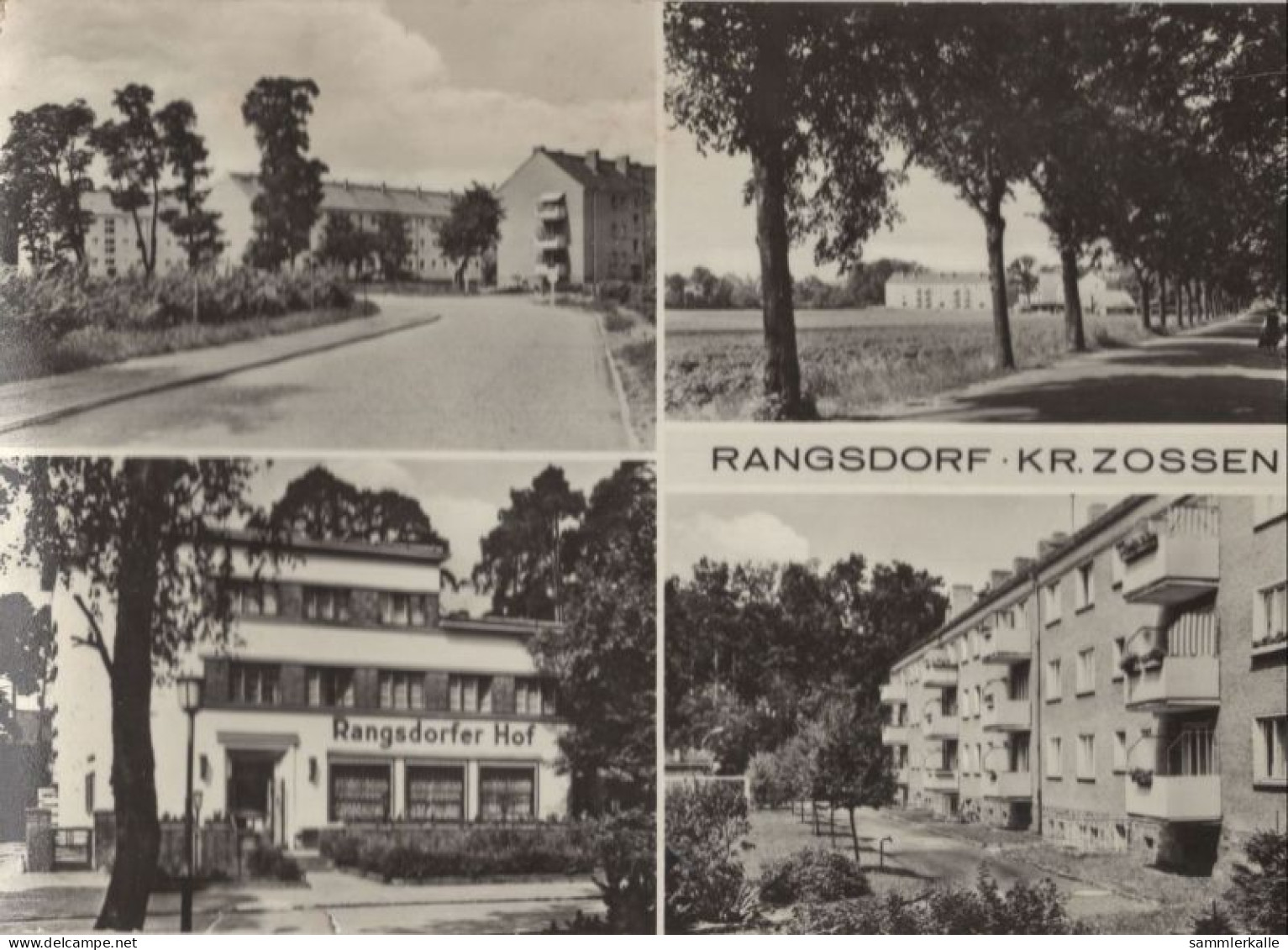 126031 - Rangsdorf - 4 Bilder - Rangsdorf