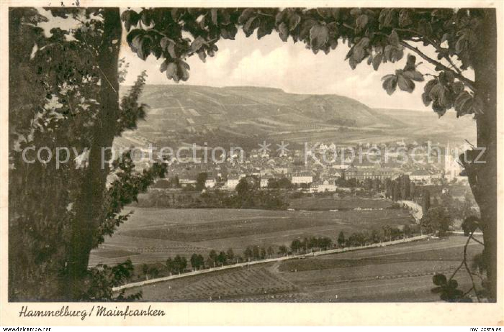 73777102 Hammelburg Panorama Blick Vom Waldrand Aus Hammelburg - Hammelburg