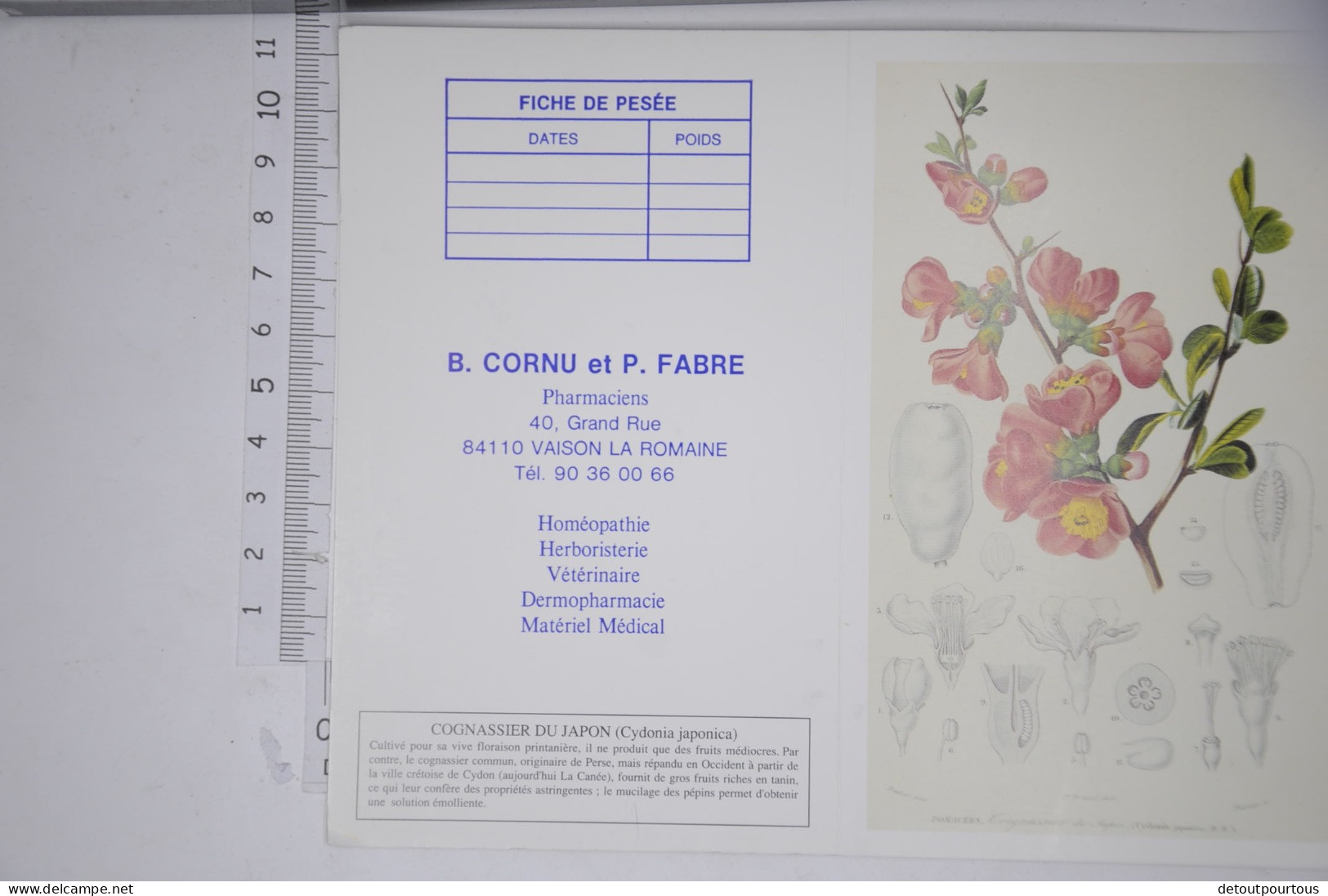 Lot De 2 Petits Calendriers Mini Calendrier 1992 CORNU FABRE Pharmacie 84 Vaison / Illustration Jujubier Cognassier - Grand Format : 1971-80