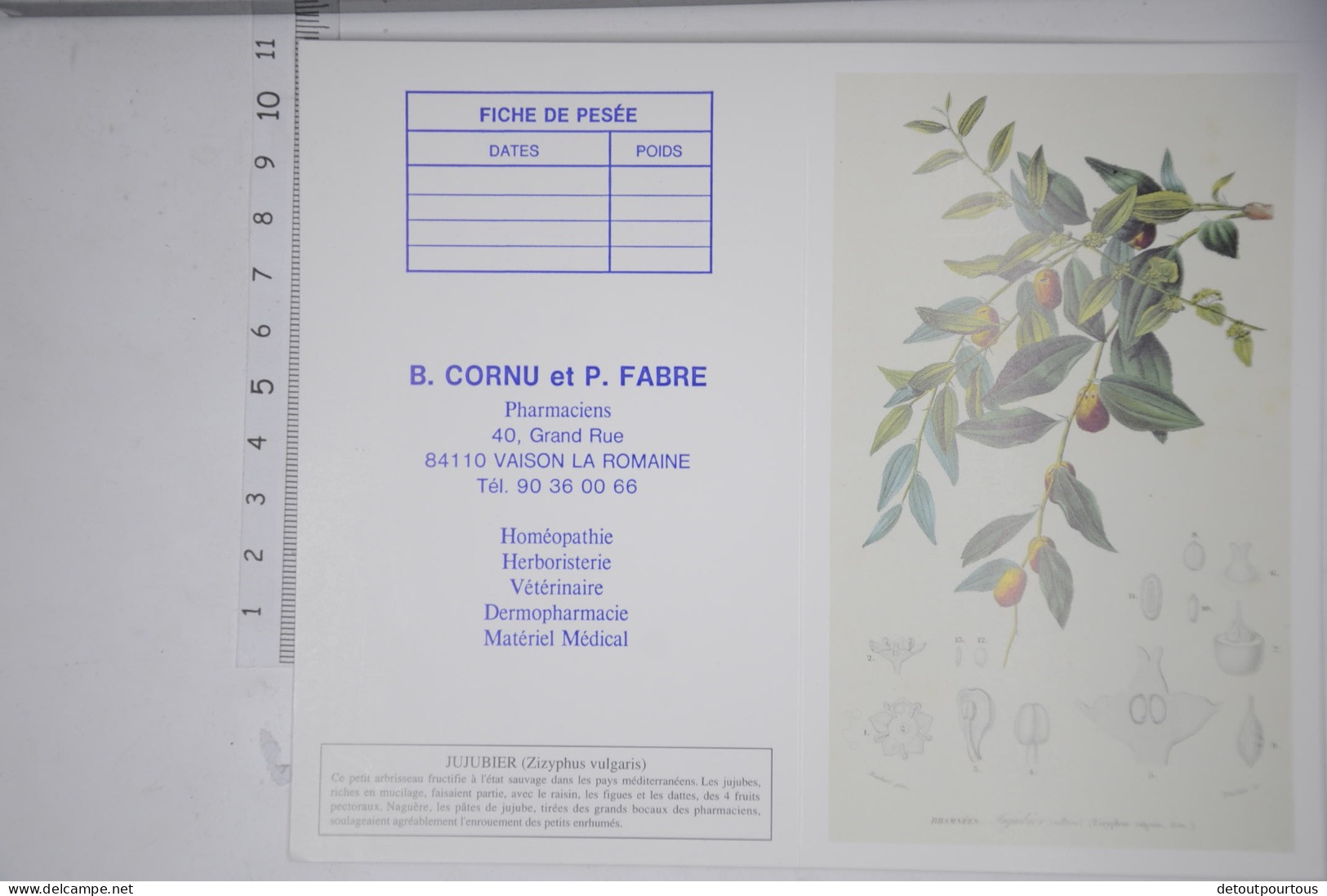 Lot De 2 Petits Calendriers Mini Calendrier 1992 CORNU FABRE Pharmacie 84 Vaison / Illustration Jujubier Cognassier - Big : 1971-80