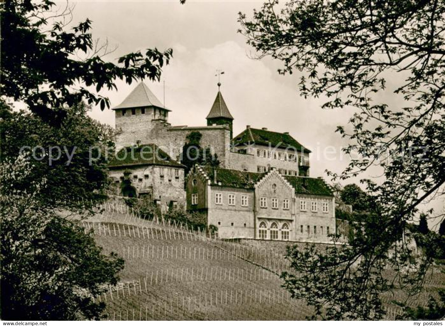 73626747 Schloss Eberstein Murgtal Schloss Eberstein - Gernsbach
