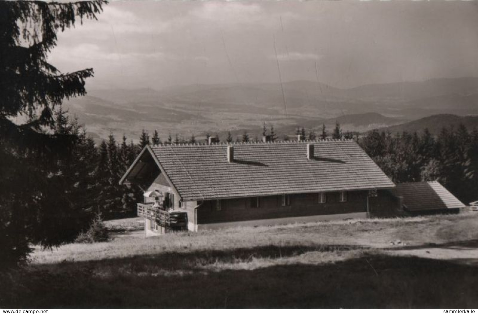 71025 - Gotteszell - Berghaus Loderhart - Ca. 1960 - Regen