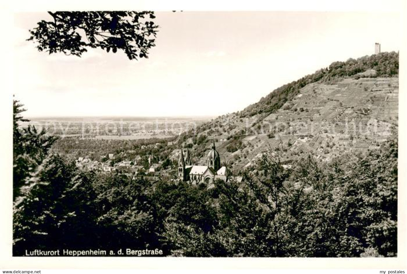 73623139 Heppenheim Bergstrasse Panorama Heppenheim Bergstrasse - Heppenheim