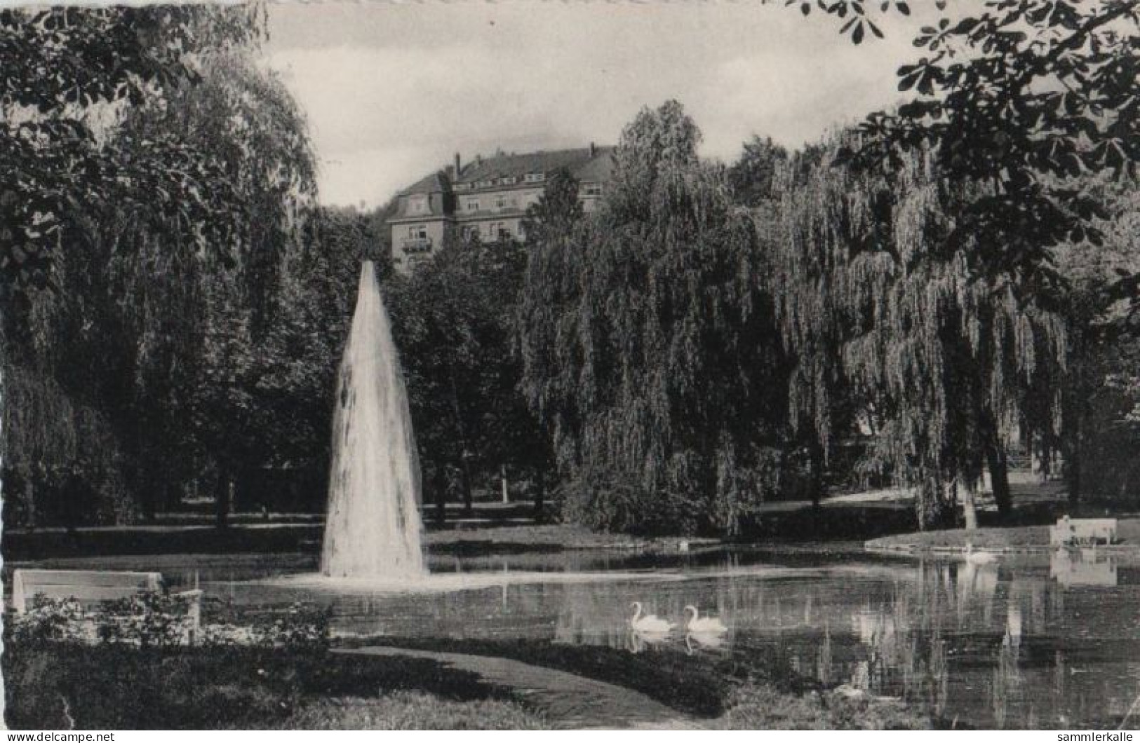 59589 - Bad Hersfeld - Kurparkteich Mit Blick Auf Wigbertshöhe - 1960 - Bad Hersfeld