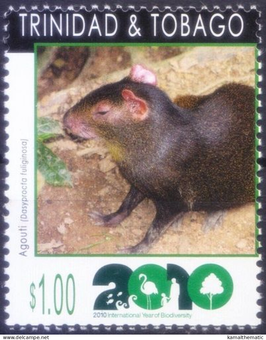 Trinidad & Tobago 2010 MNH, Biodiversity, Black Agouti, Rodents - Roditori