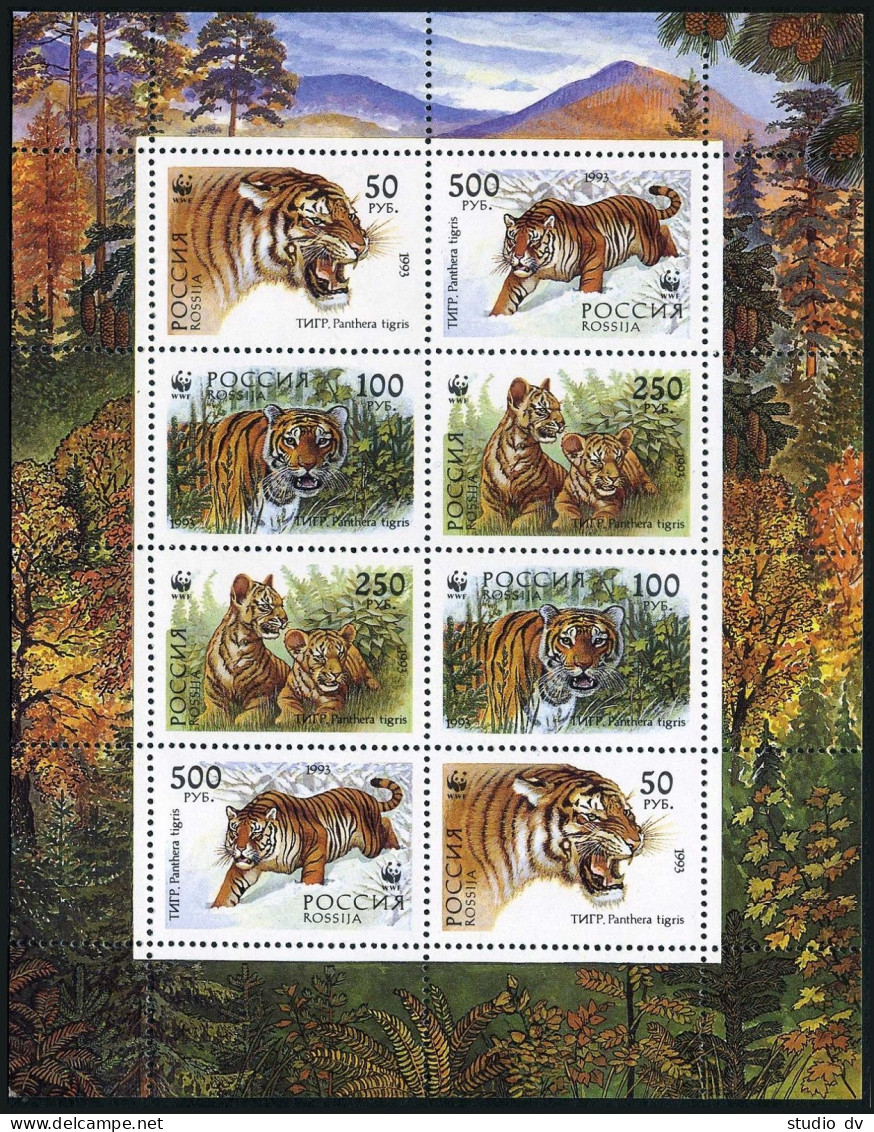 Russia 6178-6181b Sheet,MNH.Michel 343-346 Klb. WWF 1993:Panthera Tigris. - Nuovi