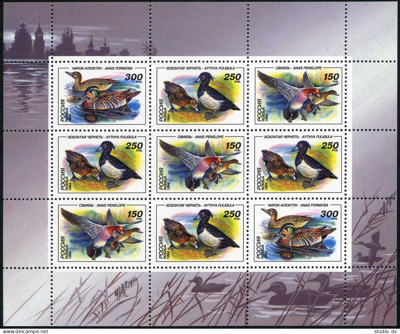 Russia 6220-6222, 6222a,6222b, MNH. Mi 389-391,2 Klb. Ducks 1994. Anas Penelope, - Unused Stamps