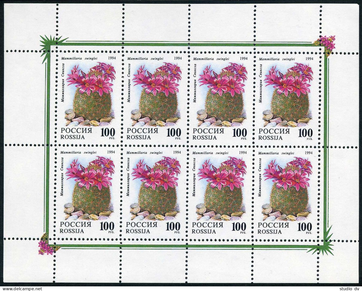 Russia 6196-6200,6197a,6198a,MNH.Michel 364-368,364-65 Klb.Flowering Cactus 1994 - Unused Stamps