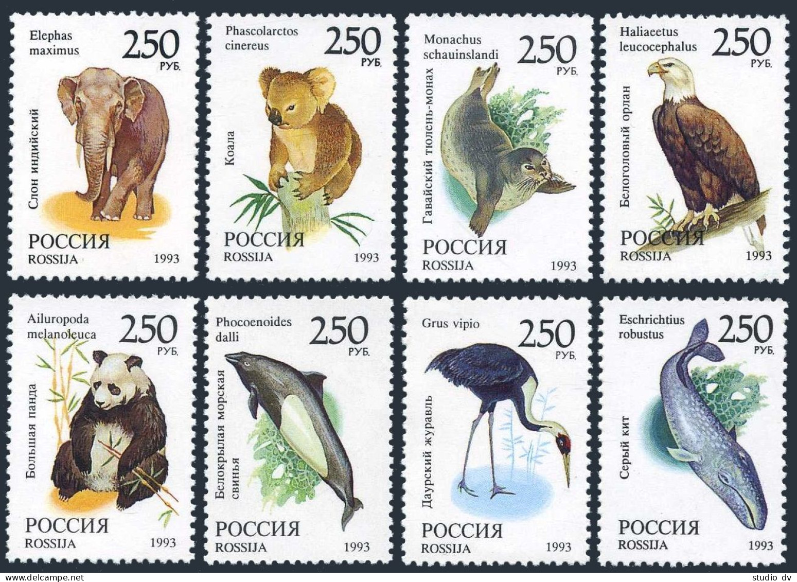 Russia 6184-6191,6191a,MNH.Michel 351-358. Wild Life 1993.Birds,Mammals. - Ongebruikt