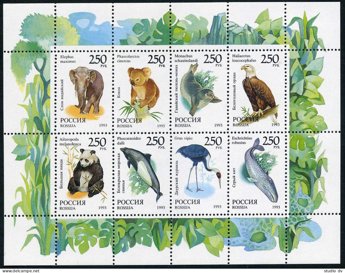 Russia 6184-6191,6191a,MNH.Michel 351-358. Wild Life 1993.Birds,Mammals. - Nuovi