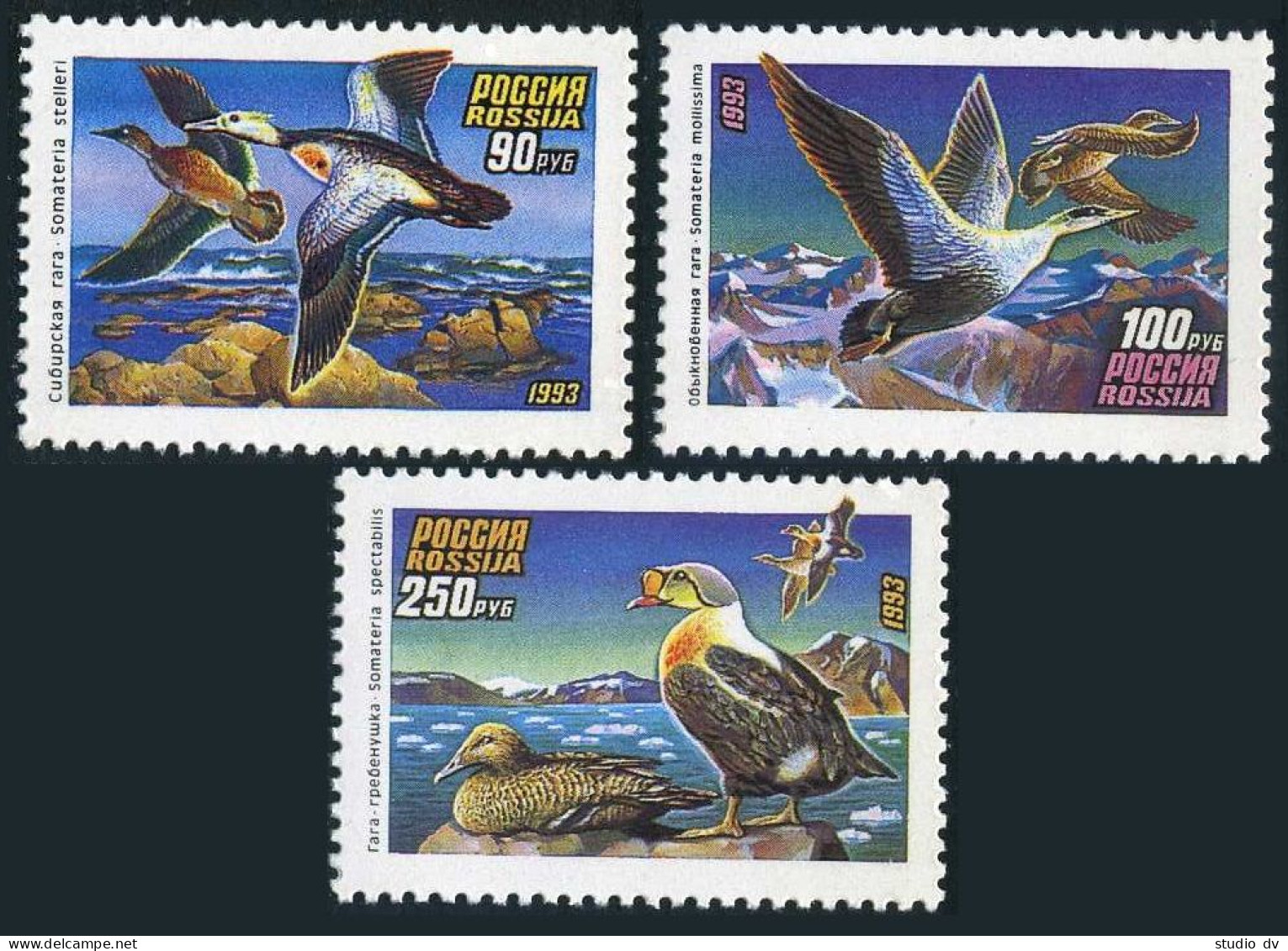 Russia 6155-6157,6157a Sheet,MNH.Michel 320-322,klb. Ducks 1993:Somateria, - Unused Stamps
