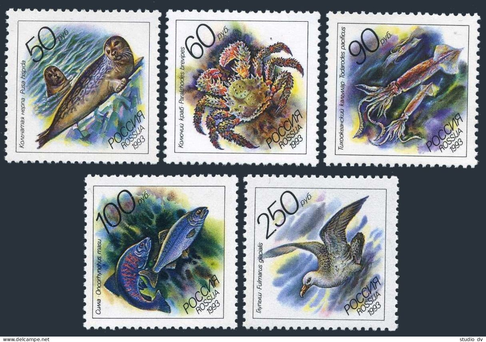 Russia 6158-6162,6162a Sheet,MNH.Michel 323-327,klb Sea Life 1993.Pusa Hispida, - Unused Stamps