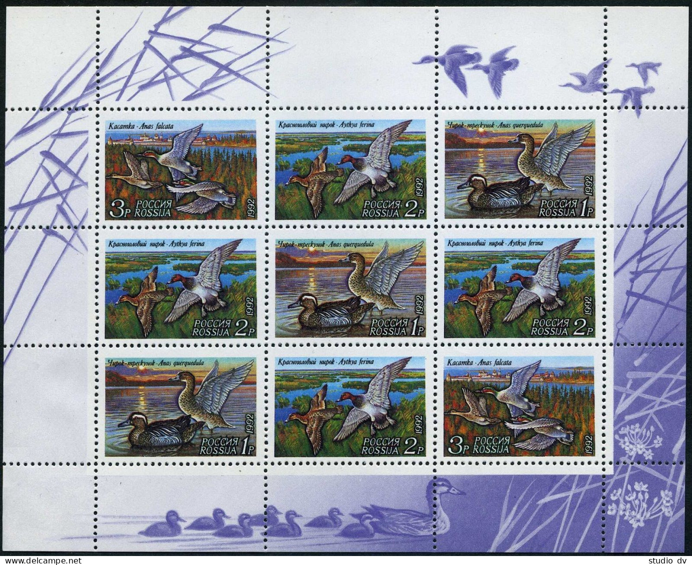 Russia 6092a Mini Sheet,MNH.Michel 254-256 Klb. Ducks 1992.Anas Querquedula, - Ongebruikt