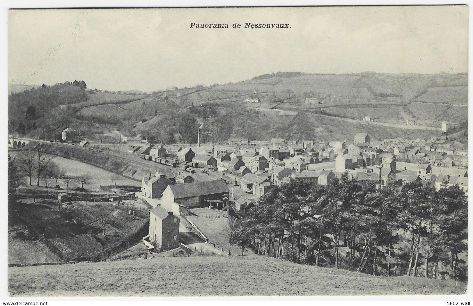 NESSONVAUX : Panorama - Trooz