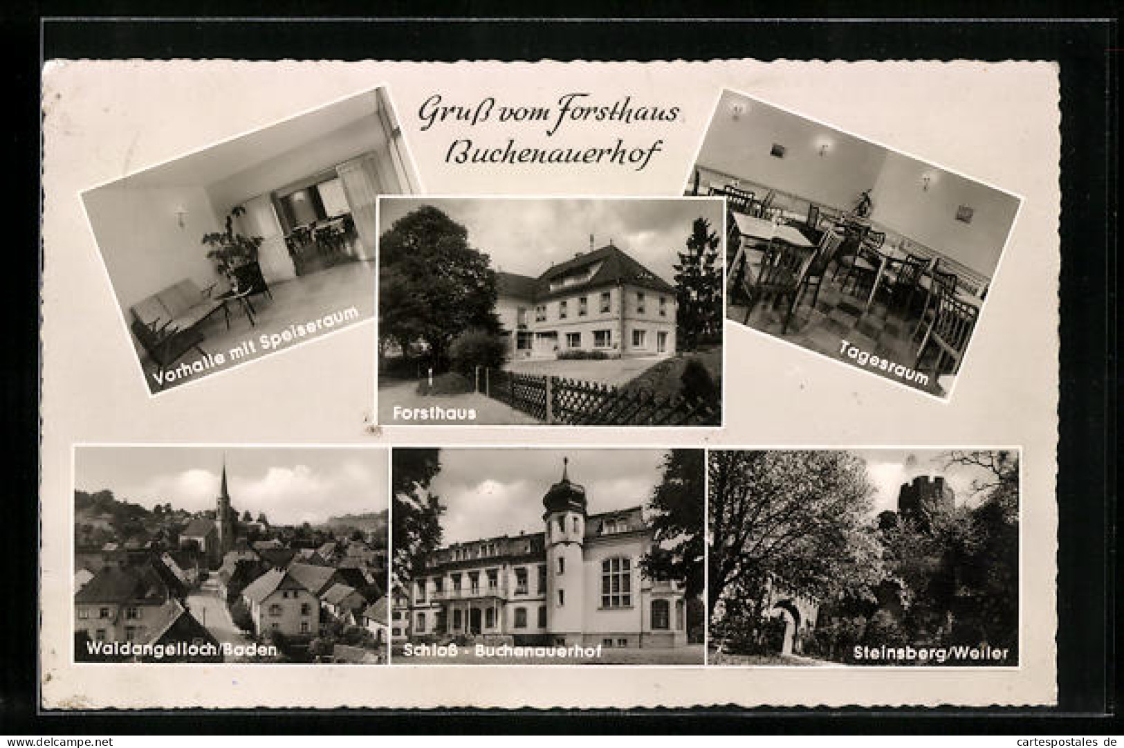 AK Waldangelloch I. Baden, Ortstotale, Steinsberg Bei Weiler, Schloss Buchenauerhof, Am Forsthaus  - Buchen