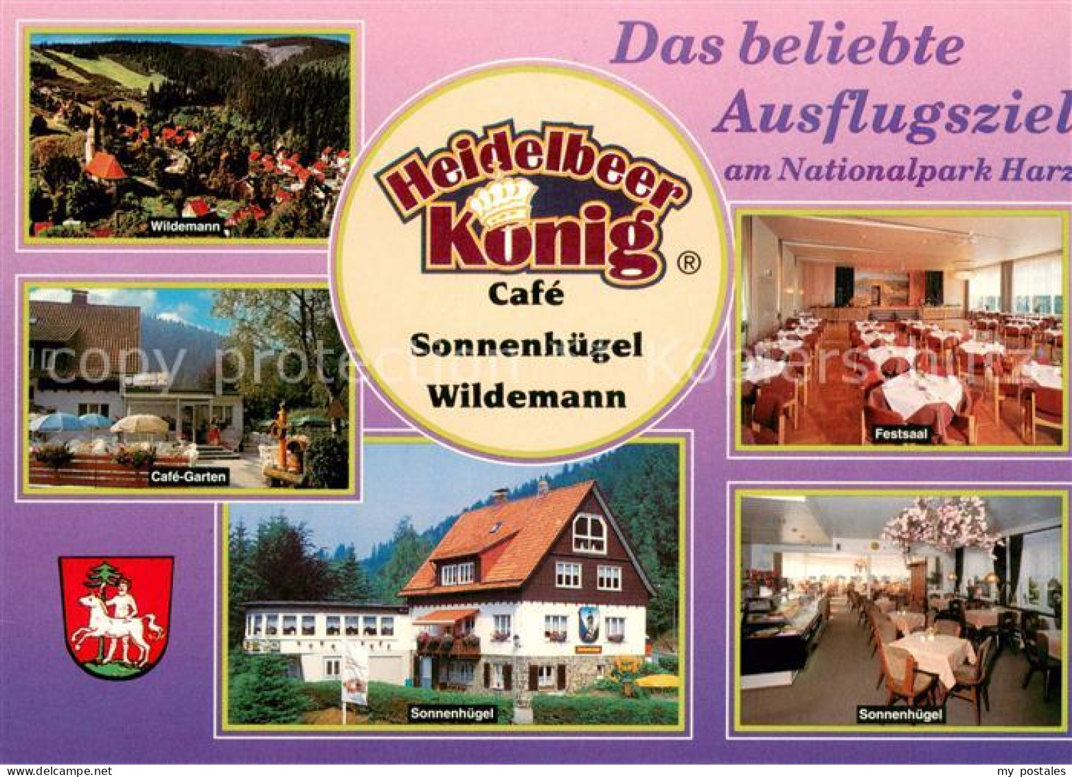 73615293 Wildemann Heidelbeer Koenig Cafe Wildemann Cafegarten Festsaal Sonnenhu - Wildemann