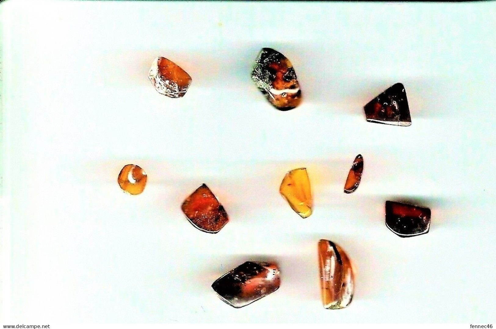 * Lot De 10 Petites Pierres D'ambre Avec Incrustations De Brindilles, Morceaux D'insectes - Minerals