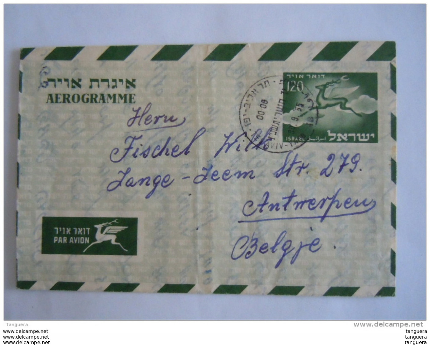 Israel Aerogramme 1955 120 P Vers La Belgique Deer Cerf Entier Stationery - Lettres & Documents
