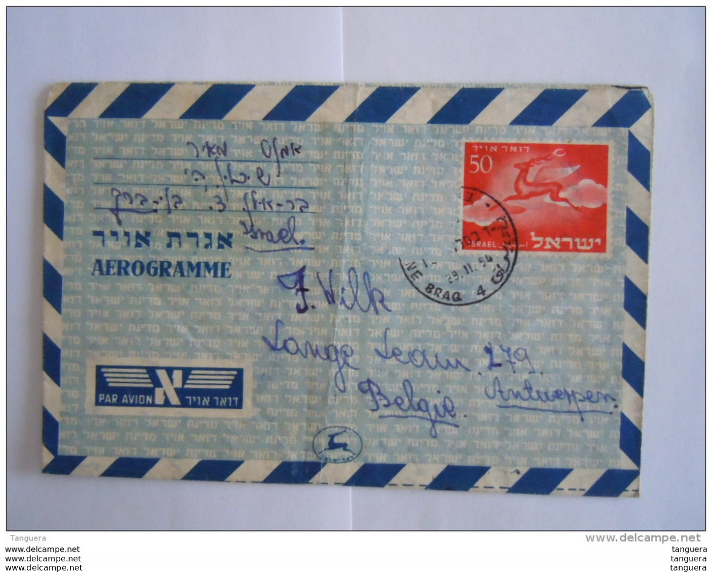 Israel Aerogramme 1954 50 P Vers La Belgique Deer Cerf - Storia Postale