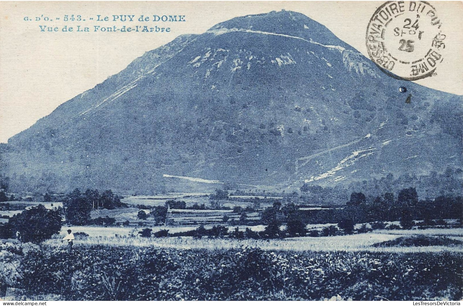 FRANCE - Le Puy De Dôme - Vue De La Font De L'Arbre - Carte Postale Ancienne - Other & Unclassified