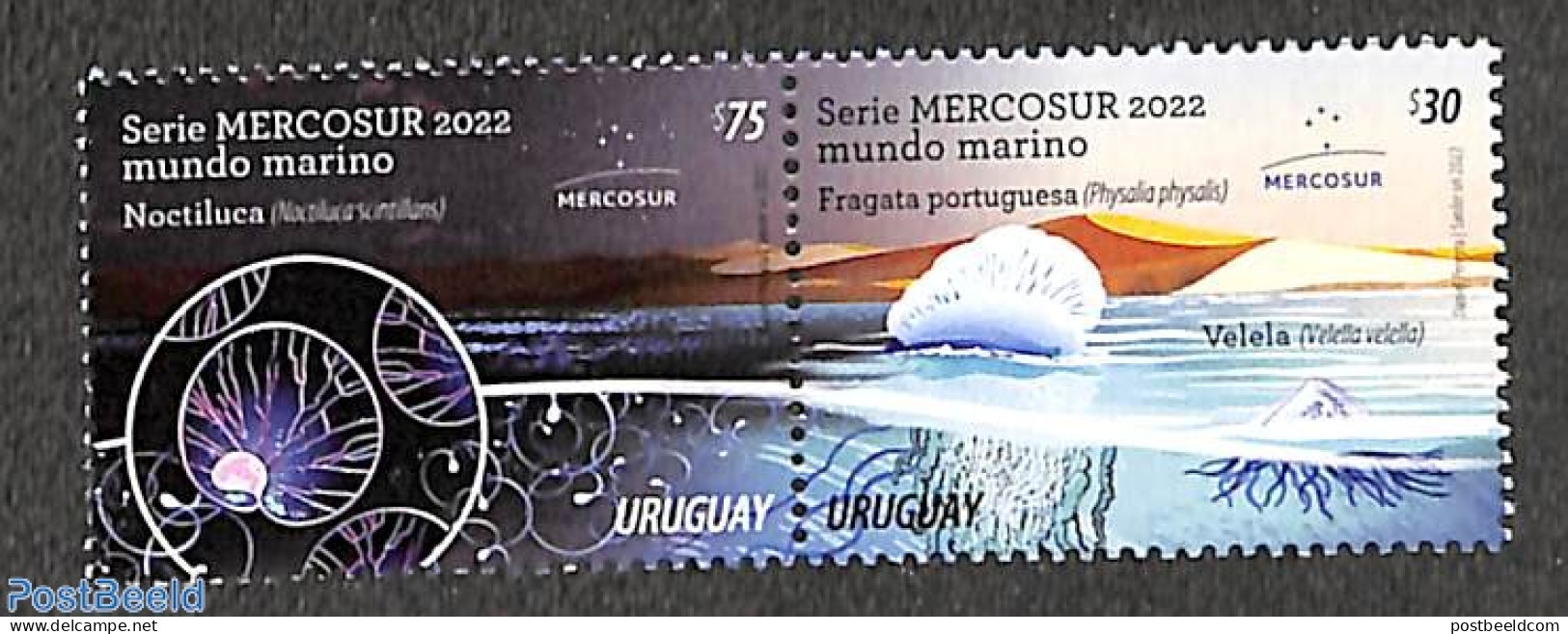 Uruguay 2022 Mercosur 2v [:], Mint NH - Uruguay