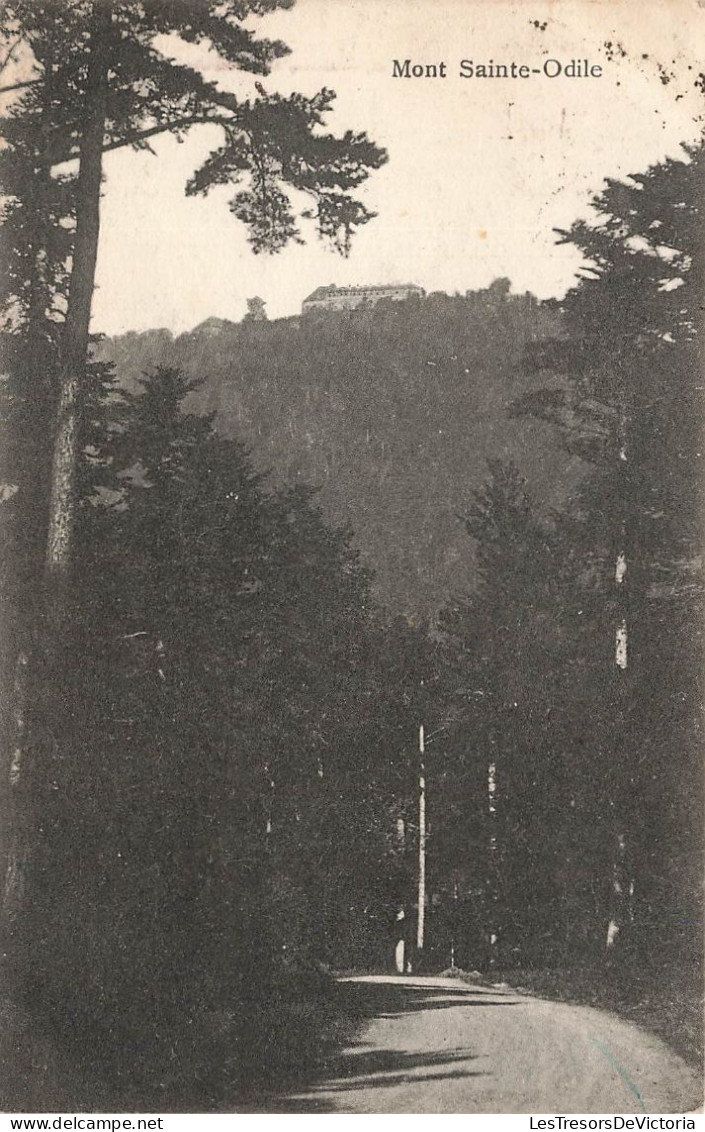 FRANCE - Vue Sur Le Mont Saint Odile - Carte Postale Ancienne - Sainte Odile