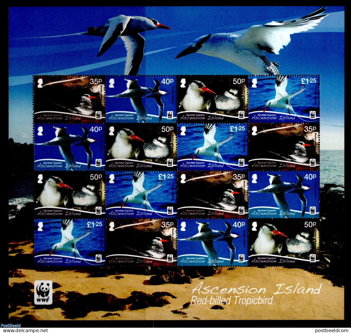 Ascension 2011 WWF, Birds M/s, Mint NH, Nature - Birds - World Wildlife Fund (WWF) - Ascension