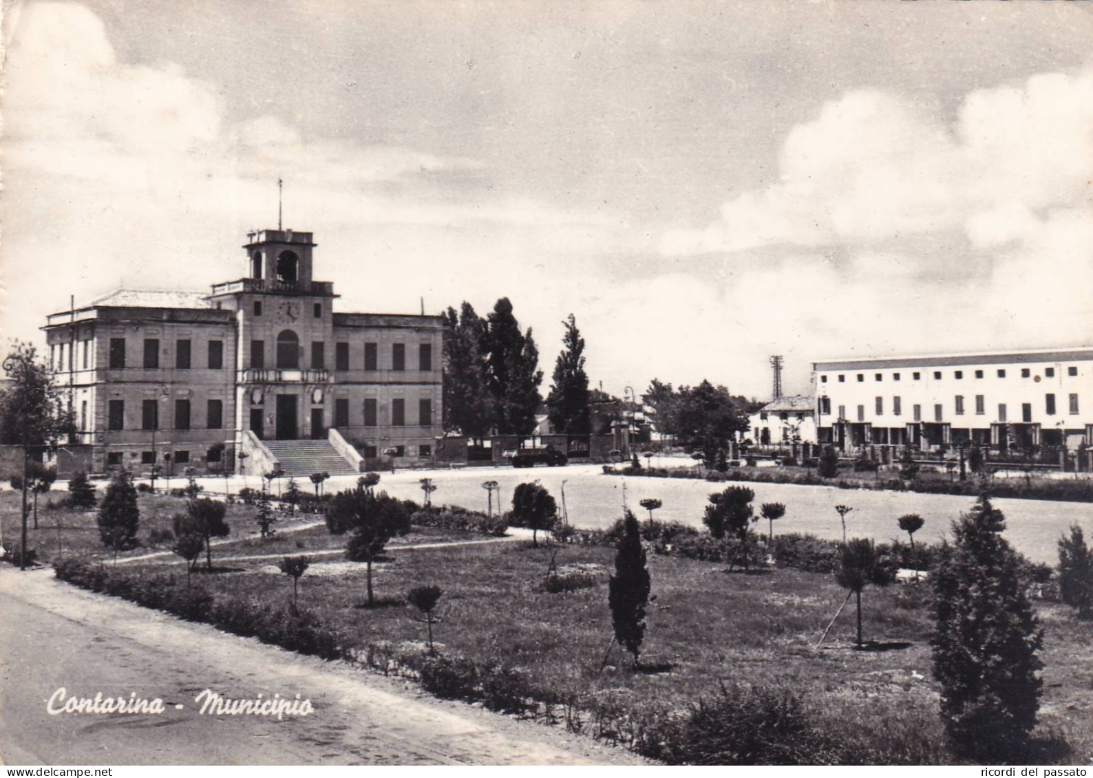 Cartolina Contarina ( Rovigo ) Municipio - Rovigo