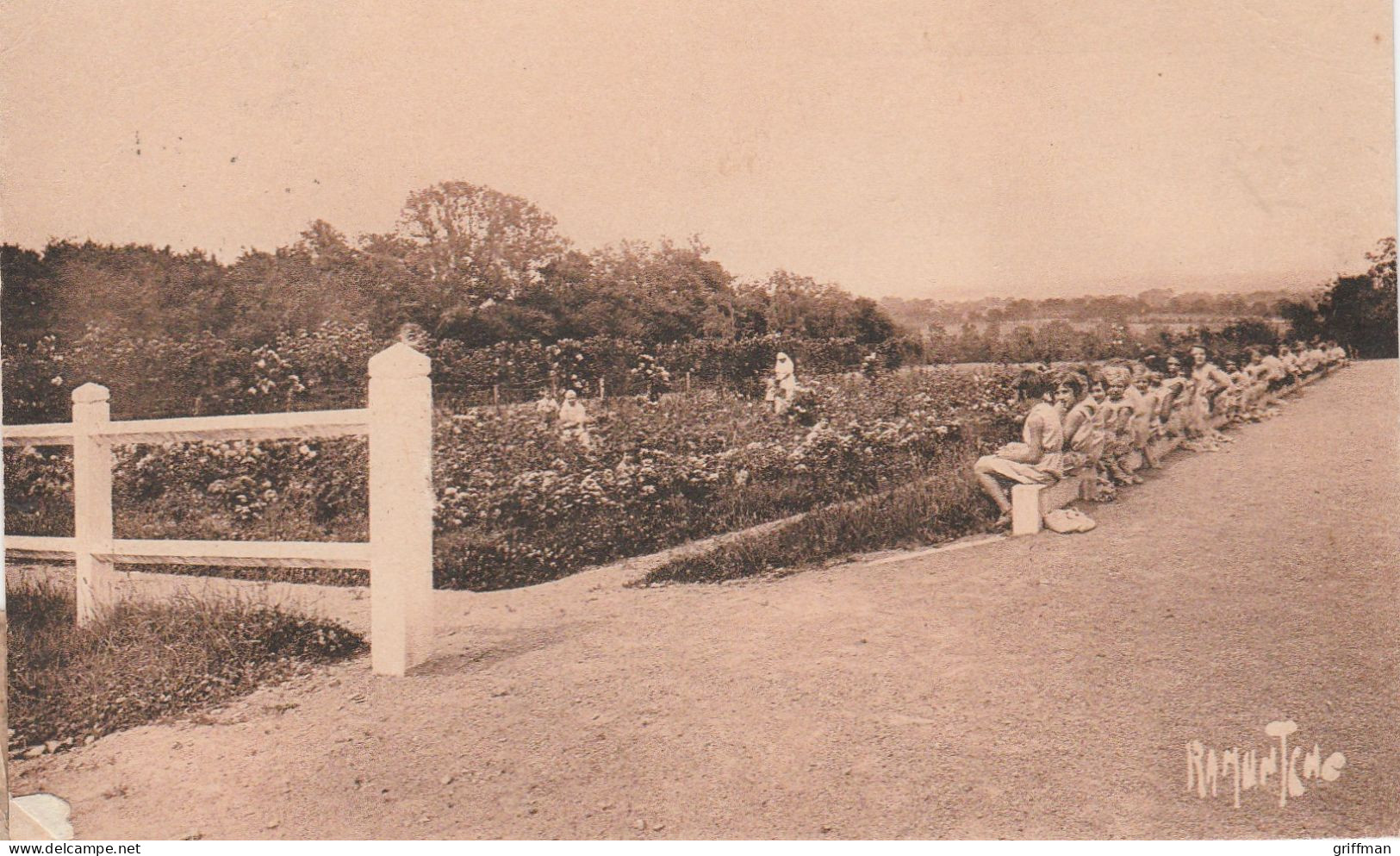 LA MOTTE VENDEE MOTHE ACHARD LA ROSERAIE TBE - La Mothe Achard