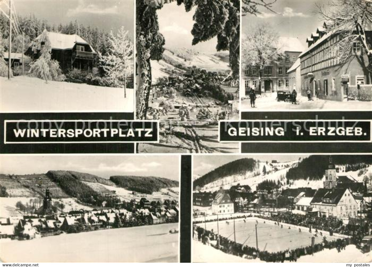 73593464 Geising Erzgebirge Teilansichten Wintersportplatz Eislaufbahn Geising E - Geising