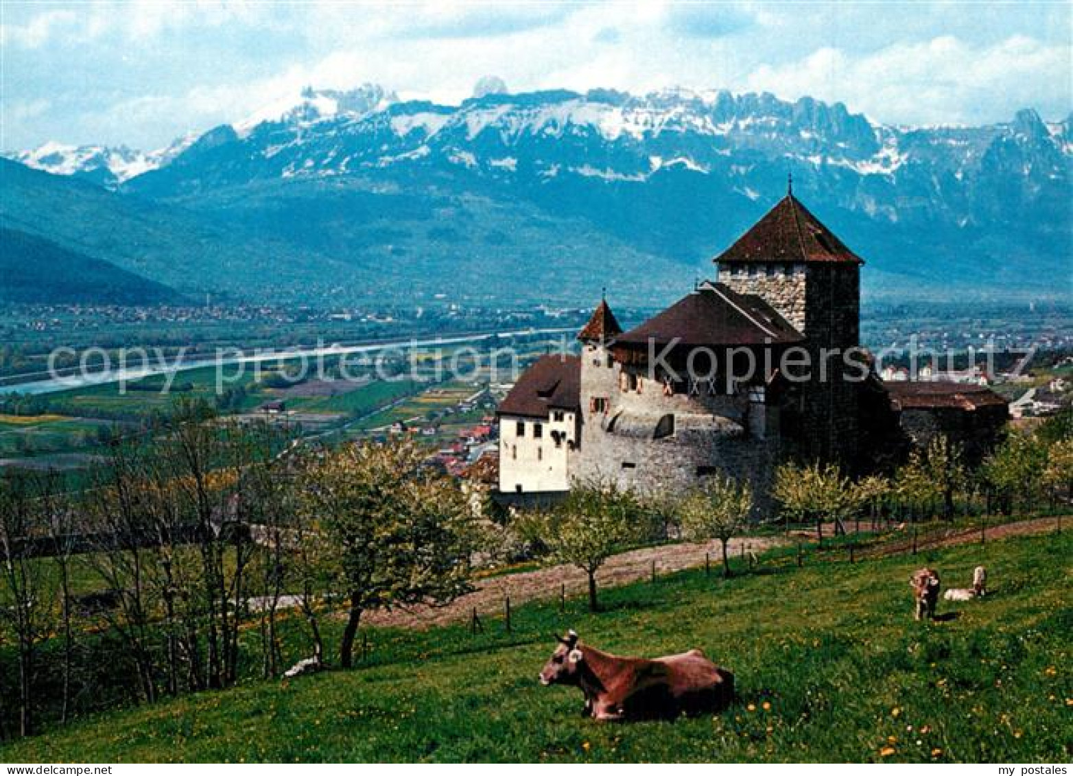 73592607 Vaduz Schloss Rheintal Kreuzberge Vaduz - Liechtenstein