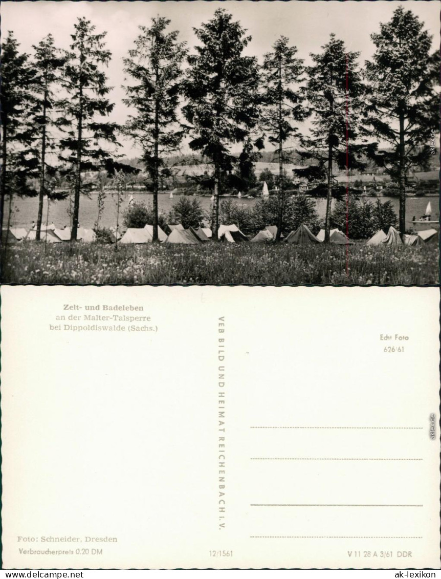 Ansichtskarte Dippoldiswalde Talsperre Malter: Zelt- Und Badeleben 1961 - Dippoldiswalde