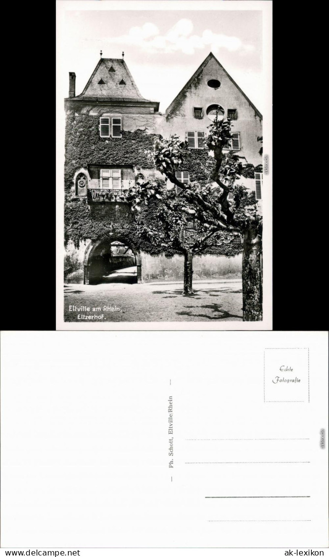 Ansichtskarte Eltville Am Rhein Eltzerhof 1960 - Eltville