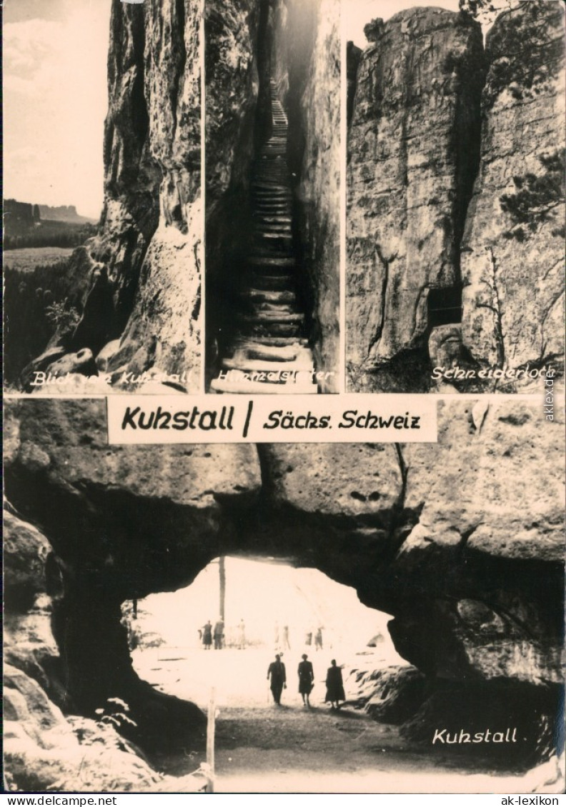 Kirnitzschtal Blick Vom Kuhstall, Himmelsleiter, Schneiderloch, Kuhstall 1963 - Kirnitzschtal