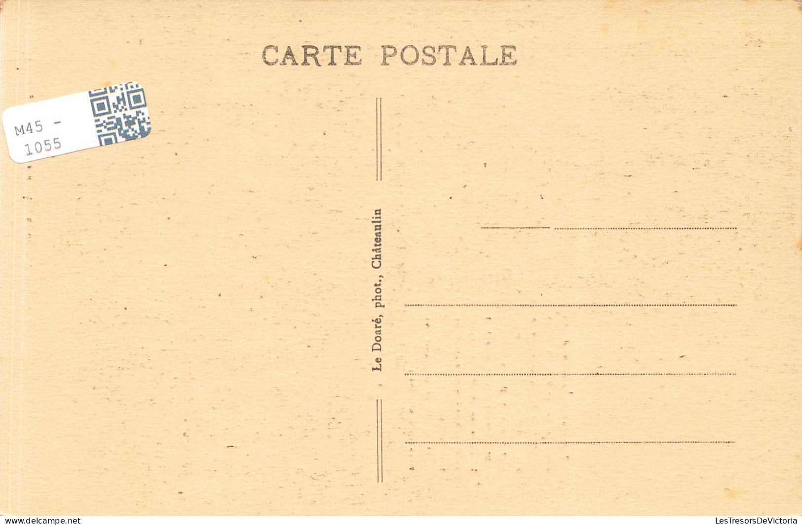 FRANCE - Locronan - Les Médaillons De La Chaire à Prêcher - Carte Postale Ancienne - Locronan