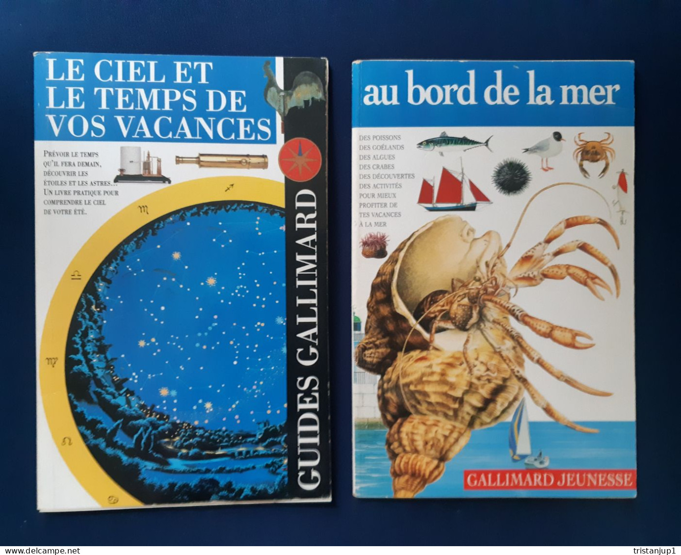Lot De 2 Livres Gallimard De 1994 - Lotti E Stock Libri