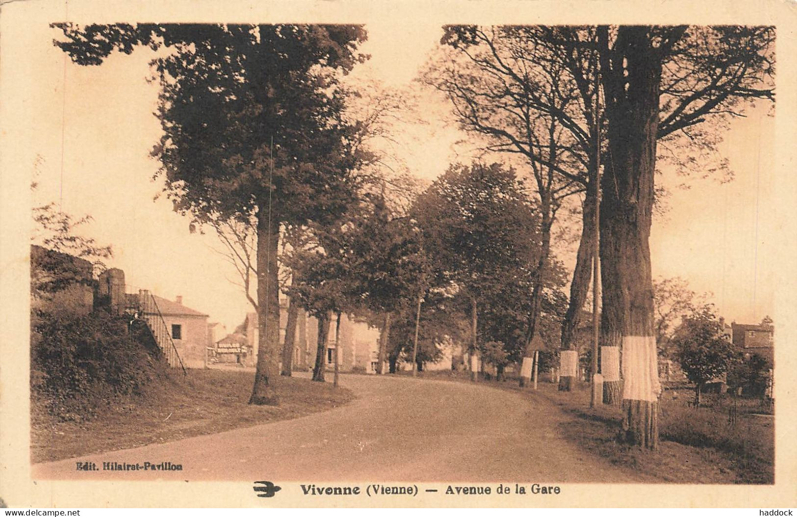 VIVONNE : AVENUE DE LA GARE - Vivonne