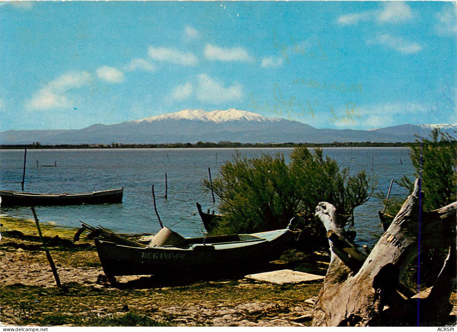 ROUSSILLON, Des étangs Vues Sur Le Canigou (scan Recto-verso) Ref 1043 - Roussillon