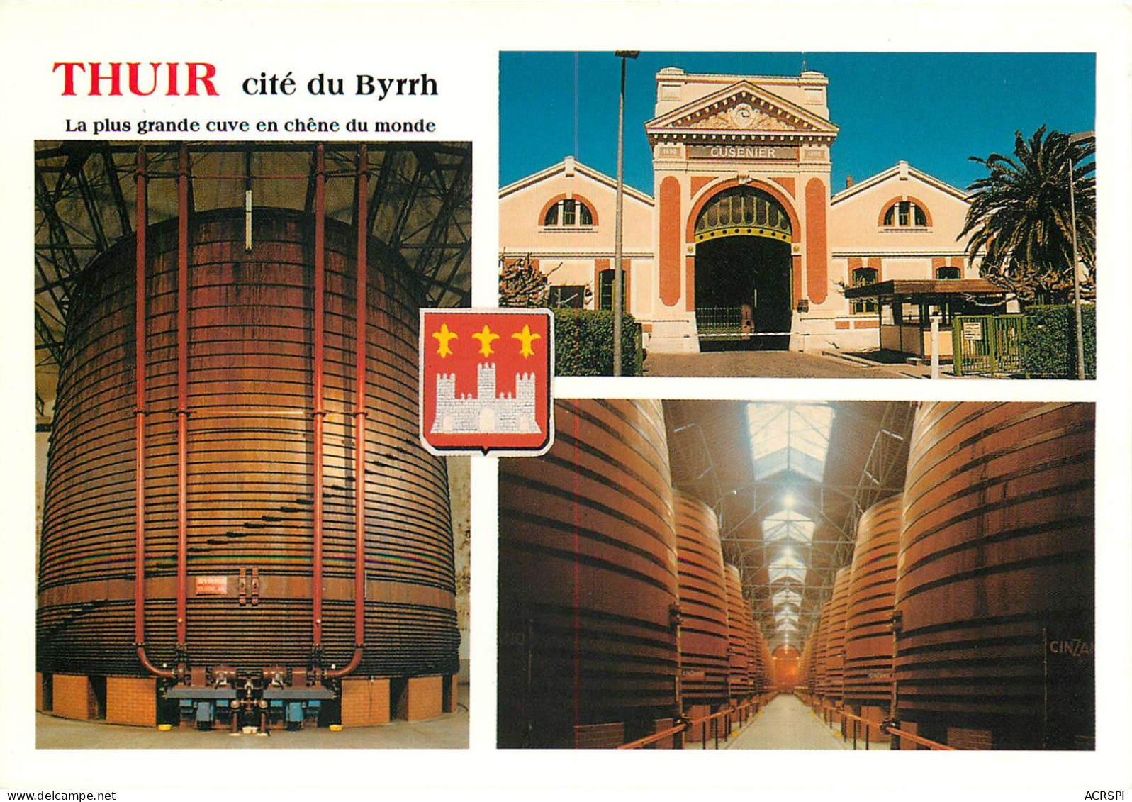 THUIR, La Cité Du Byrrh (scan Recto-verso) Ref 1042 - Roussillon